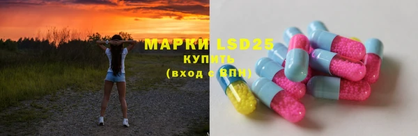 ПСИЛОЦИБИНОВЫЕ ГРИБЫ Абаза